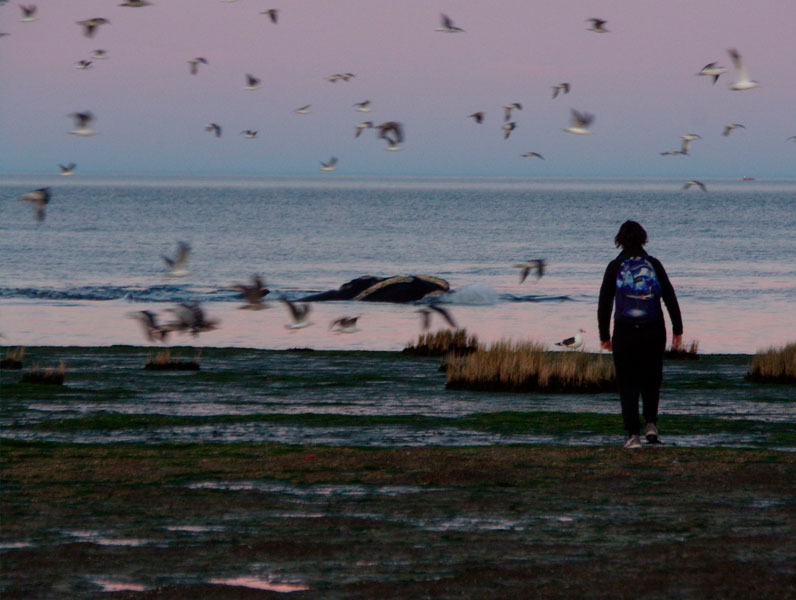Paraiso Madryn